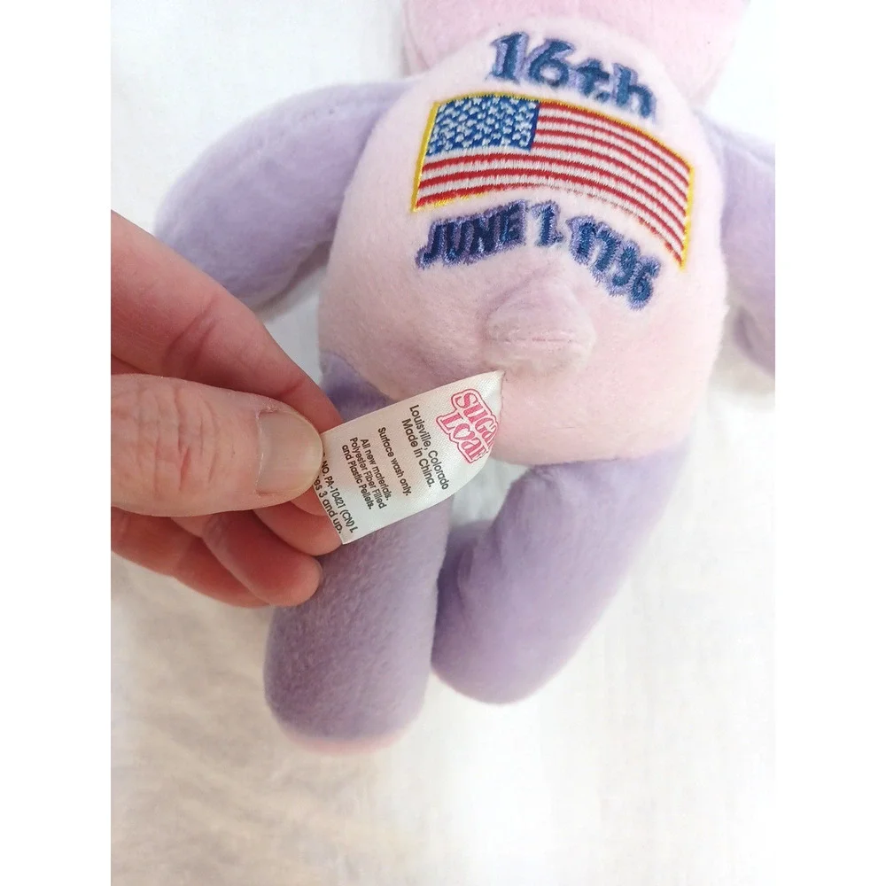 Sugar Loaf Two Bits Tennessee 16th USA Flag Pink Purple Plush Bear 8 1/2